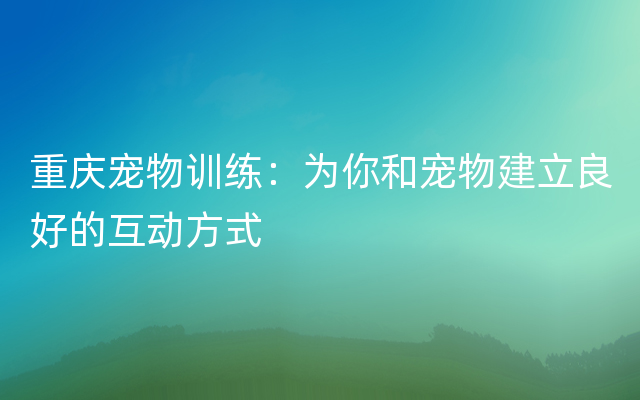 重庆宠物训练：为你和宠物建立良好的互动方式