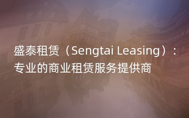 盛泰租赁（Sengtai Leasing）：专业的商业租赁服务提供商