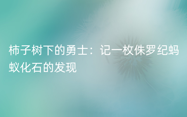 柿子树下的勇士：记一枚侏罗纪蚂蚁化石的发现