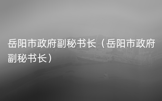 岳阳市政府副秘书长（岳阳市政府副秘书长）