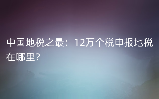 中国地税之最：12万个税申报地税在哪里？