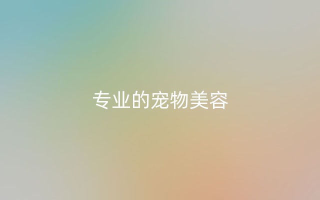 专业的宠物美容