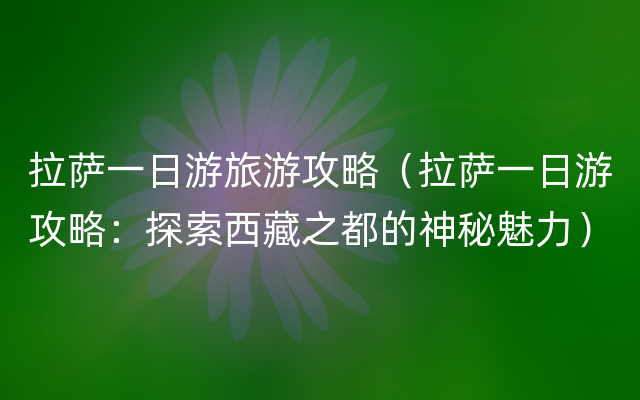 拉萨一日游旅游攻略（拉萨一日游攻略：探索西藏之都的神秘魅力）