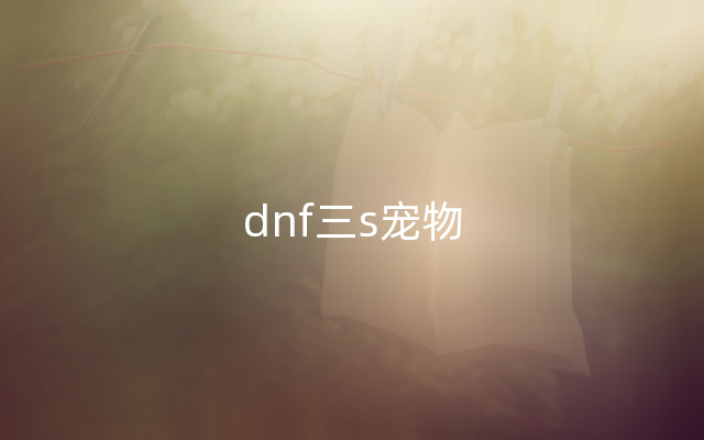 dnf三s宠物