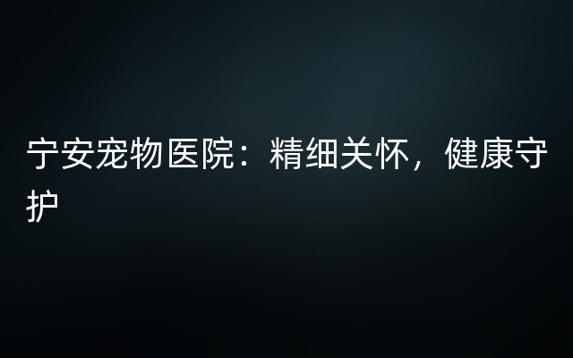 宁安宠物医院：精细关怀，健康守护