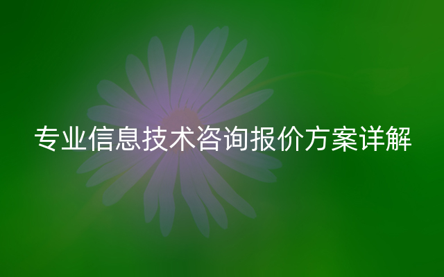 专业信息技术咨询报价方案详解