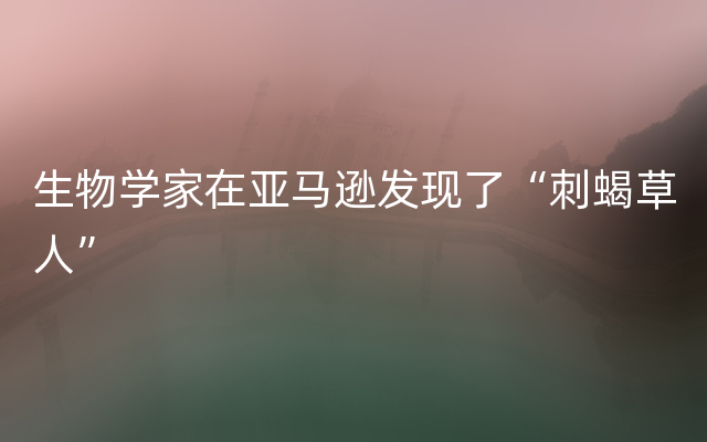 生物学家在亚马逊发现了“刺蝎草人”