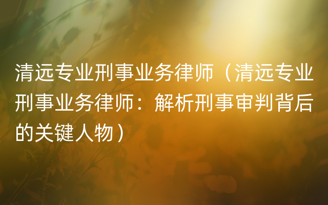 清远专业刑事业务律师（清远专业刑事业务律师：解析刑事审判背后的关键人物）