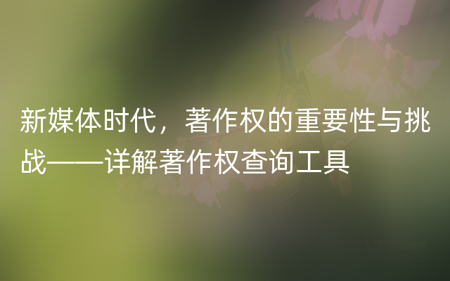 新媒体时代，著作权的重要性与挑战——详解著作权查询工具