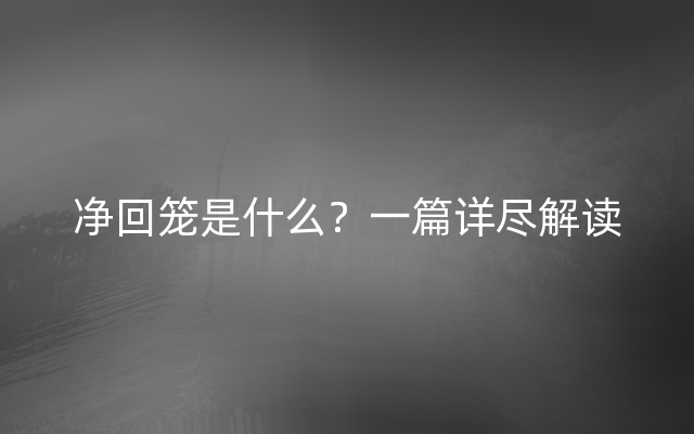 净回笼是什么？一篇详尽解读