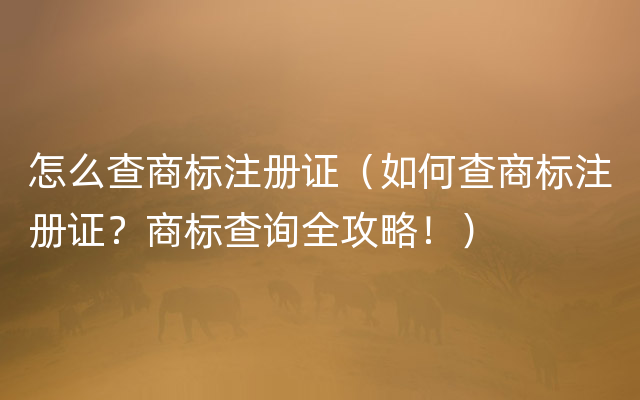 怎么查商标注册证（如何查商标注册证？商标查询全攻略！）