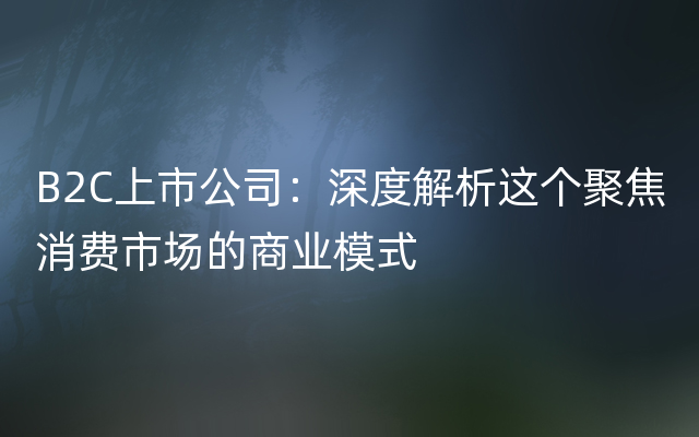 B2C上市公司：深度解析这个聚焦消费市场的商业模式