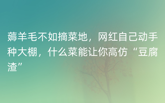 薅羊毛不如摘菜地，网红自己动手种大棚，什么菜能