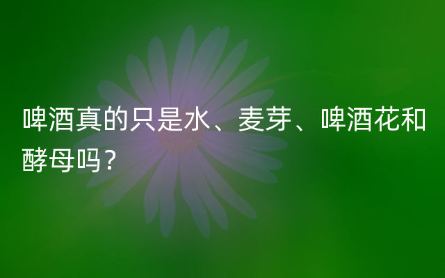 啤酒真的只是水、麦芽、啤酒花和酵母吗？