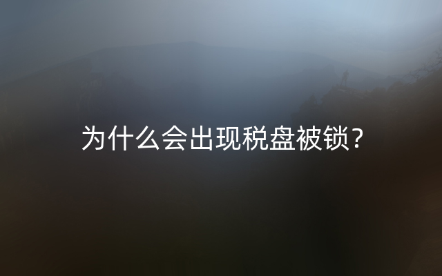 为什么会出现税盘被锁？