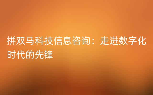 拼双马科技信息咨询：走进数字化时代的先锋