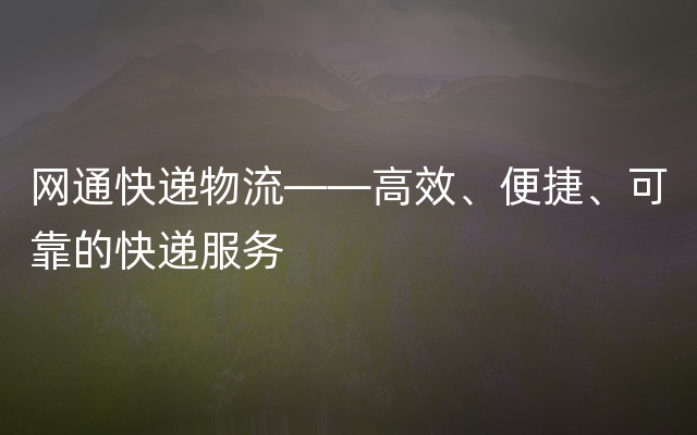 网通快递物流——高效、便捷、可靠的快递服务