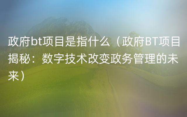 政府bt项目是指什么（政府BT项目揭秘：数字技术改变政务管理的未来）