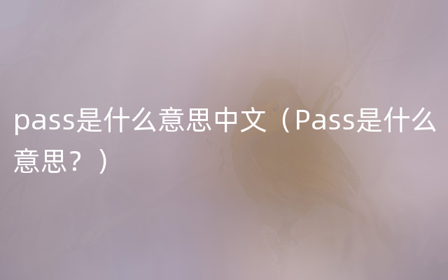 pass是什么意思中文（Pass是什么意思？）