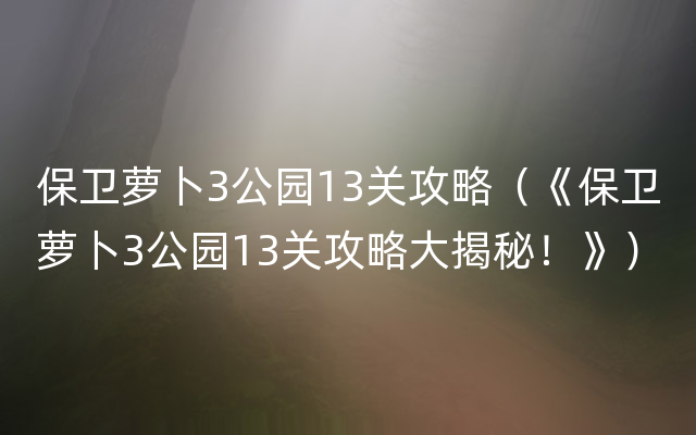 保卫萝卜3公园13关攻略（《保卫萝卜3公园13关攻略大揭秘！》）