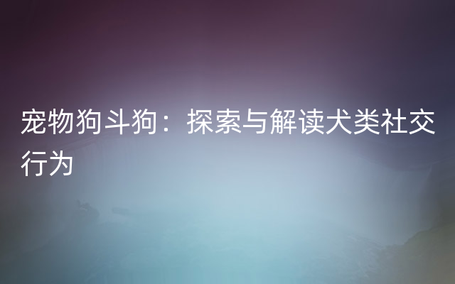 宠物狗斗狗：探索与解读犬类社交行为