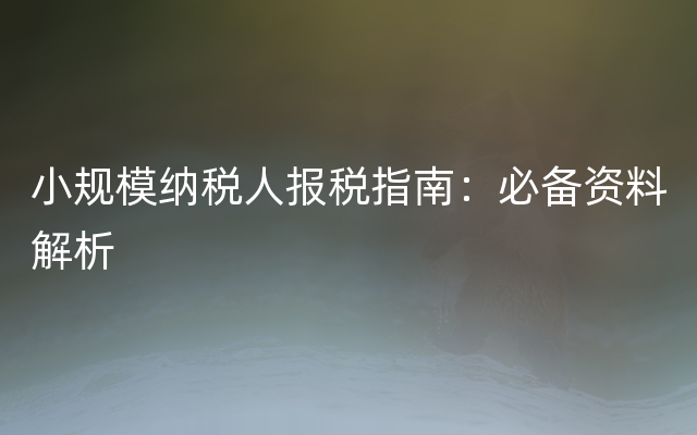 小规模纳税人报税指南：必备资料解析