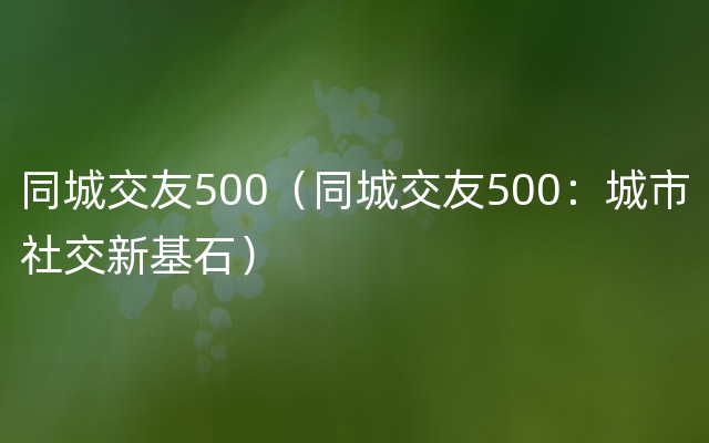 同城交友500（同城交友500：城市社交新基石）