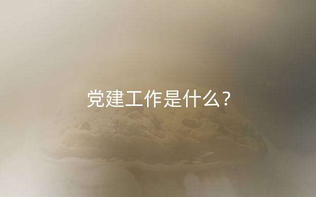 党建工作是什么？