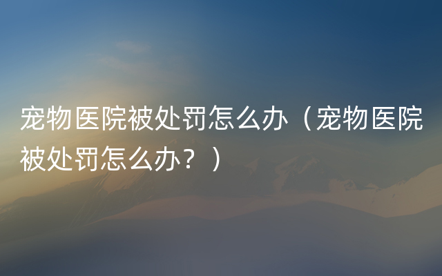 宠物医院被处罚怎么办（宠物医院被处罚怎么办？）