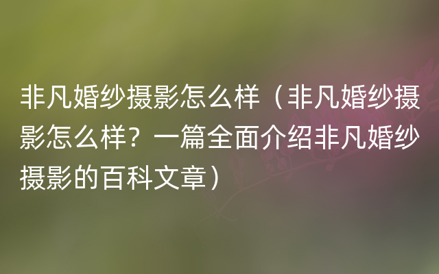 非凡婚纱摄影怎么样（非凡婚纱摄影怎么样？一篇全面介绍非凡婚纱摄影的百科文章）