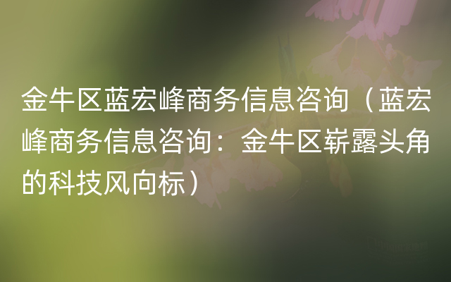 金牛区蓝宏峰商务信息咨询（蓝宏峰商务信息咨询：金牛区崭露头角的科技风向标）