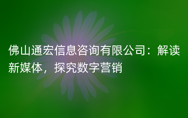 佛山通宏信息咨询有限公司：解读新媒体，探究数字营销