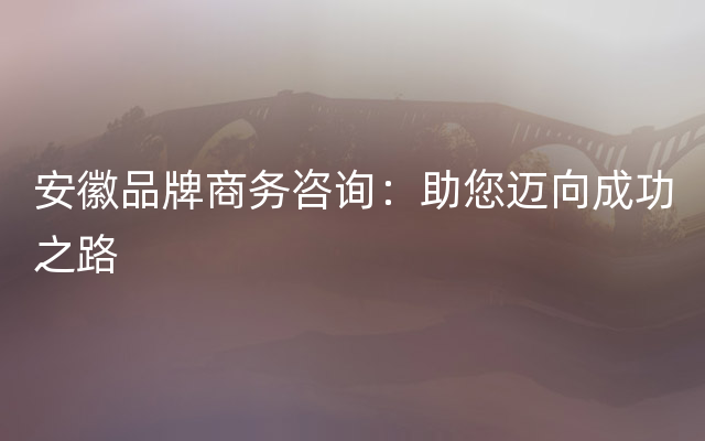 安徽品牌商务咨询：助您迈向成功之路