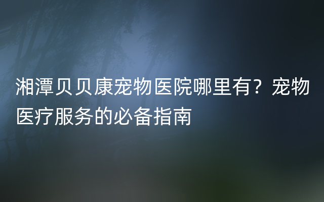 湘潭贝贝康宠物医院哪里有？宠物医疗服务的必备指南