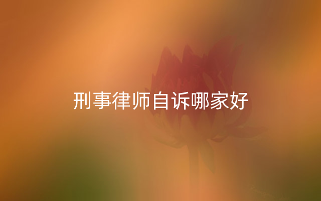 刑事律师自诉哪家好