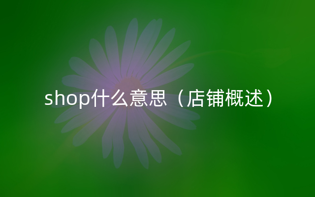 shop什么意思（店铺概述）