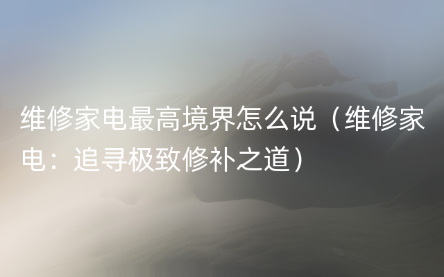 维修家电最高境界怎么说（维修家电：追寻极致修补之道）