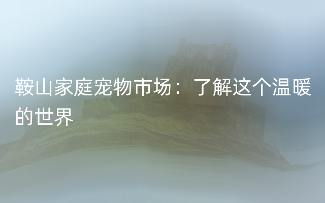 鞍山家庭宠物市场：了解这个温暖的世界