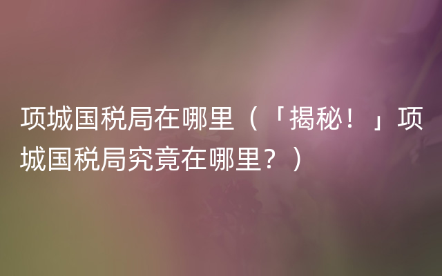 项城国税局在哪里（「揭秘！」项城国税局究竟在哪里？）