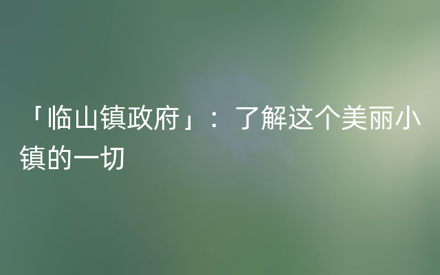 「临山镇政府」：了解这个美丽小镇的一切