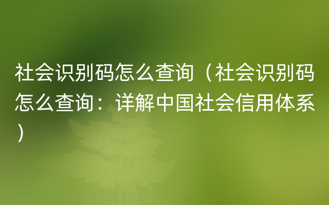 社会识别码怎么查询（社会识别码怎么查询：详解中国社会信用体系）