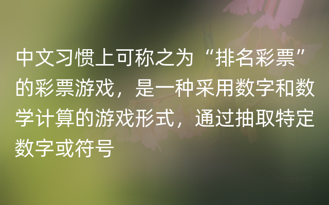 中文习惯上可称之为“排名彩票”的彩票游戏，是一种采用数字和数学计算的游戏形式，通