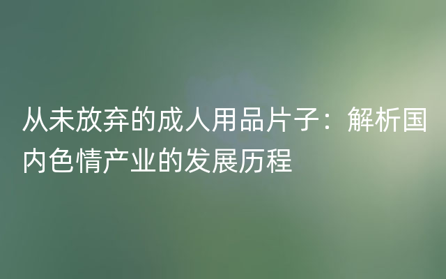 从未放弃的成人用品片子：解析国内色情产业的发展历程