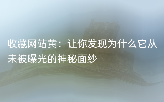 收藏网站黄：让你发现为什么它从未被曝光的神秘面纱