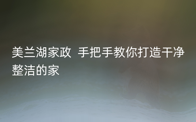 美兰湖家政  手把手教你打造干净整洁的家