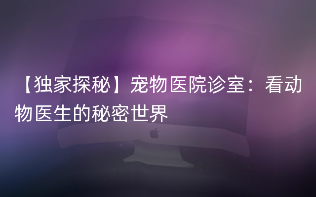 【独家探秘】宠物医院诊室：看动物医生的秘密世界