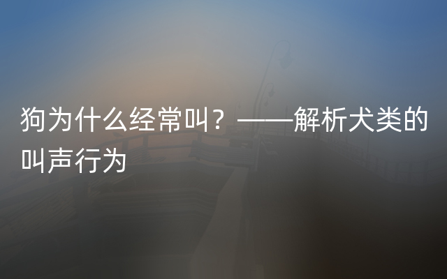 狗为什么经常叫？——解析犬类的叫声行为