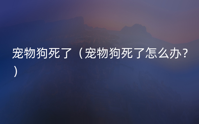 宠物狗死了（宠物狗死了怎么办？）