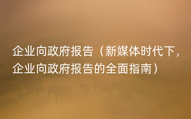 企业向政府报告（新媒体时代下，企业向政府报告的