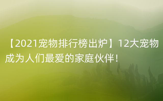 【2021宠物排行榜出炉】12大宠物成为人们最爱的家庭伙伴！